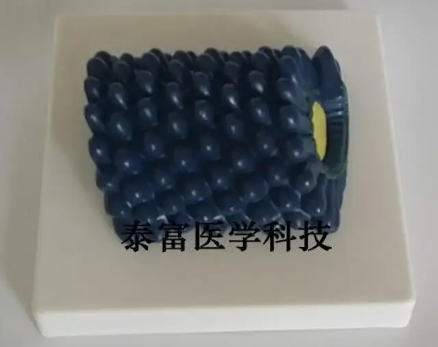 QQ20181213133324