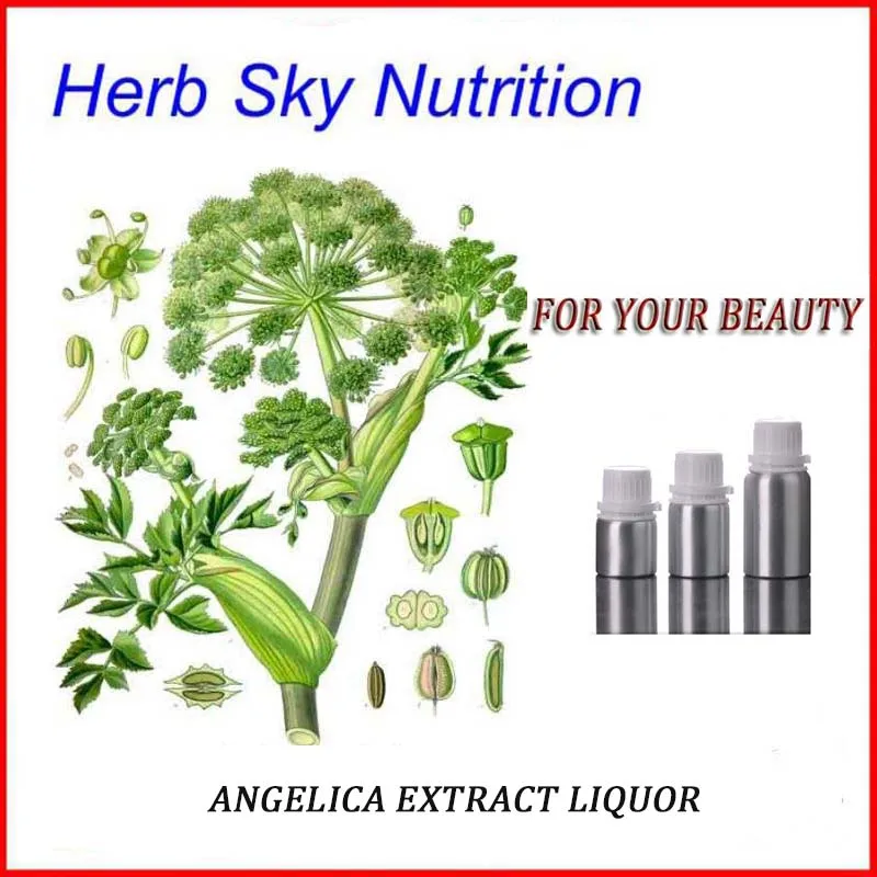 New arrival angelica root extract liquor whitening moisturize Skin Care with rapid delivery,free