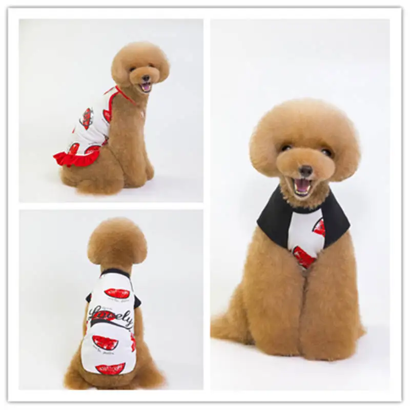 

Warm Dog Clothes Puppy Outfit Pet chihuahua dog Jacket Coat warm Soft coat clothes for dogs Chihuahua clothes
