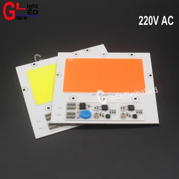 

New 100W 100 Watts Cool White 6000K 6500K 380NM-840NM Full Spectrum LED COB Chip, Integrated Smart IC Driver 220V