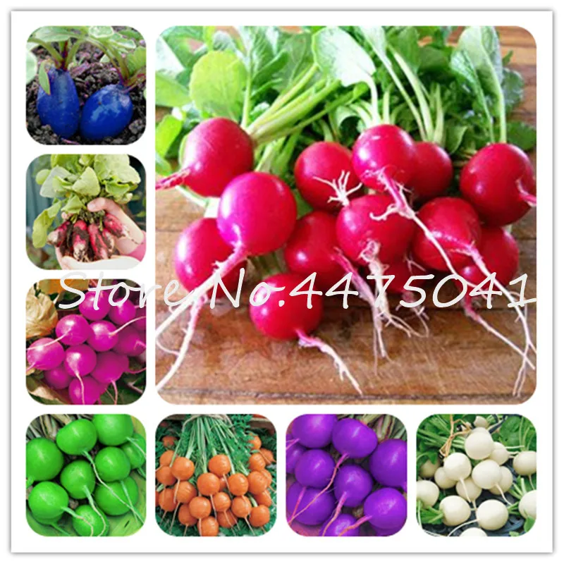 

200 Pcs Rainbow Cherry-Belle,Bonsai Cherry Radish Organic Vegetables, Strong Adaptability, Rich Nutrition, Bonsai Plant For Gard