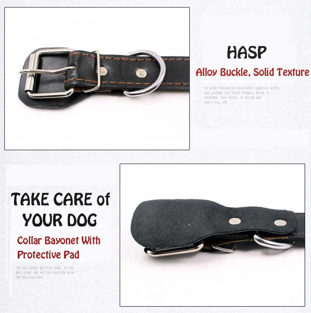 7 Collars, Harnesses & Leads