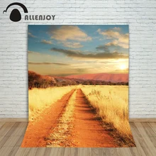 Allenjoy photographic background Meadow mountain road backdrops children boy studio digital 8×8