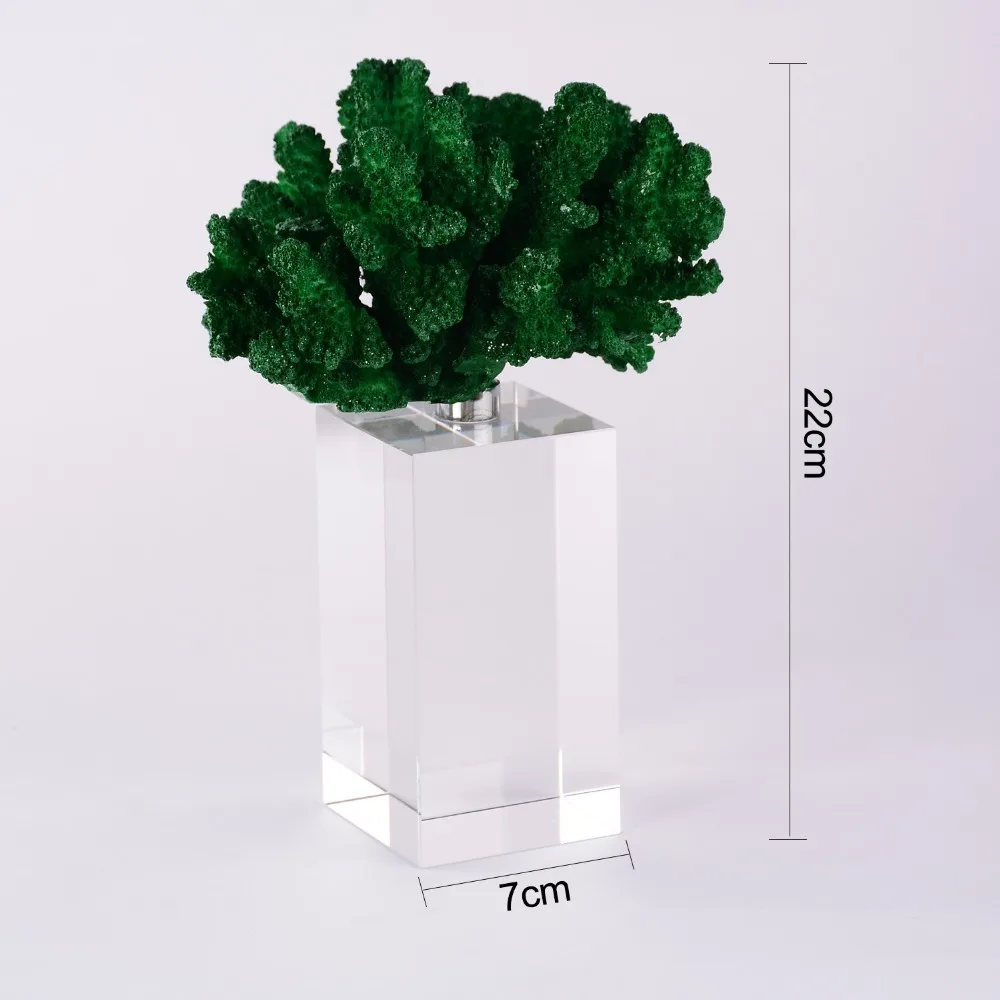 6cm