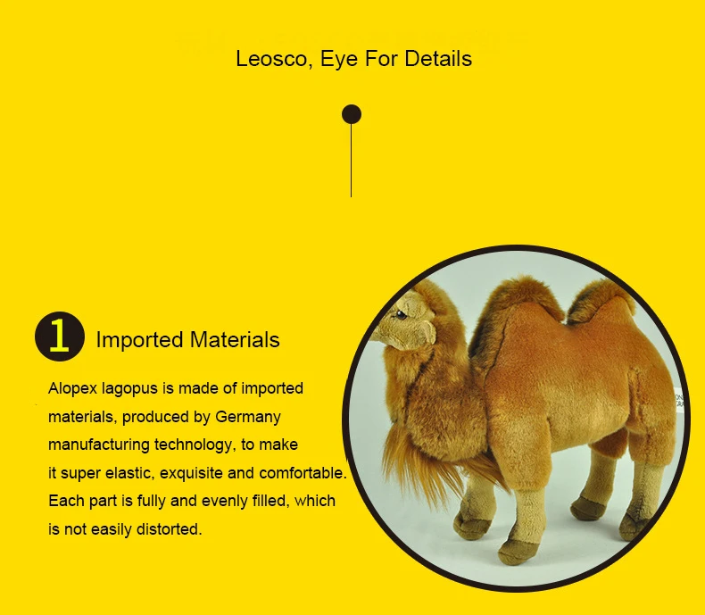 4433466016_2076369807