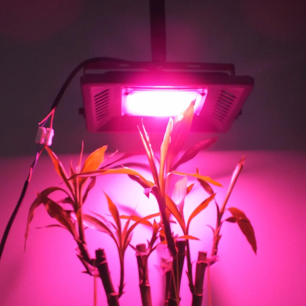 

50W LED Plant Light Full Spectrum Grow Chip Broad 380-840nm Engine Input Integrated Smart IC Driver For DIY Hydroponic Flowers