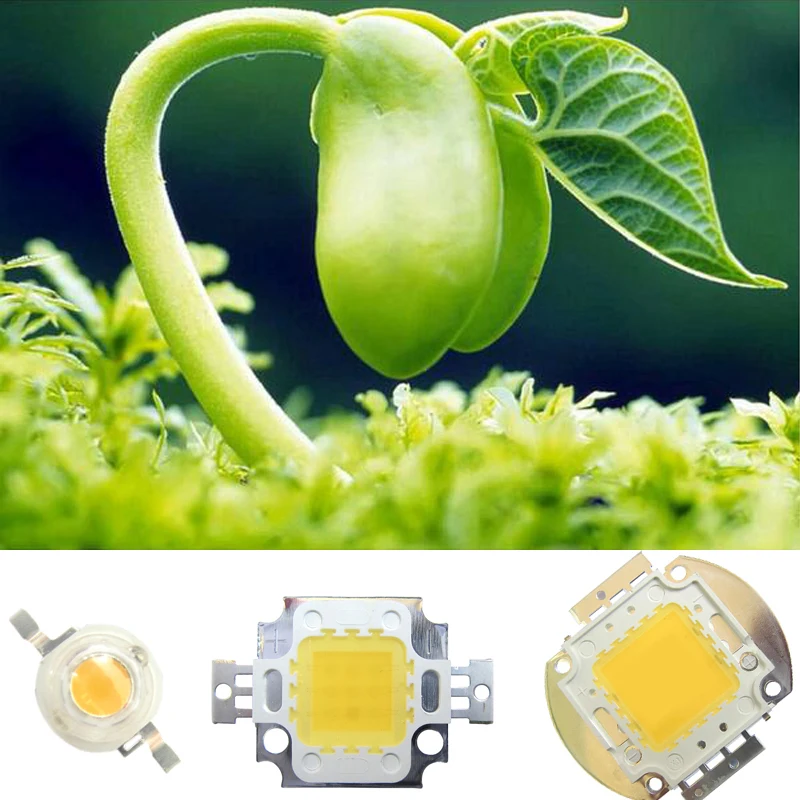 

High Power 1w 30mil 3w 10W 20w 30w 50w 100w 45mil White Full Spectrum 380~780nm SMD LED Part Diodes For Plant Grow Light