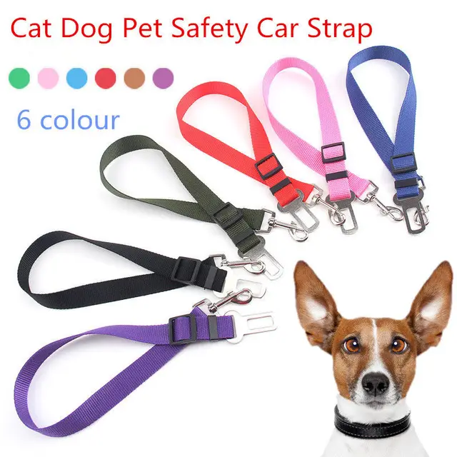 Pet Seat Belt >> Cat Dog Pet Safety Car Vehicle Strap Seatbelt Seat Belt Adjustable Pet Seat Belt >> Cat Dog Pet Safety Car Vehicle Strap Seatbelt Seat Belt Adjustable