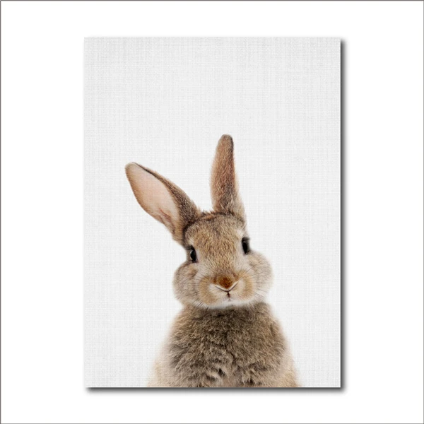 Bunny Rabbit Tail Canvas Painting Nursery Wall Art Animal Poster and Print Nordic Woodland Picture for Baby Kids Room Home Decor - Цвет: FBH057