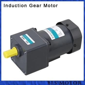 

60W induction ac gear motor single phase 220V gear reducer