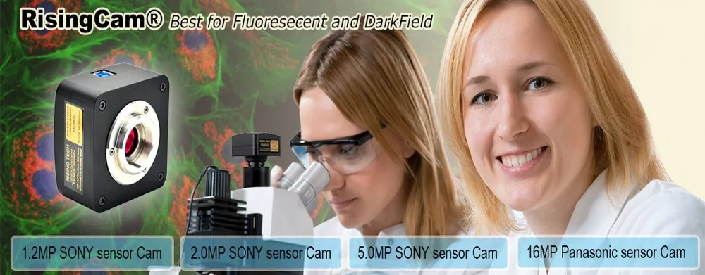 HTB1RrKXBYuWBuNjSszgq6z8jVXai