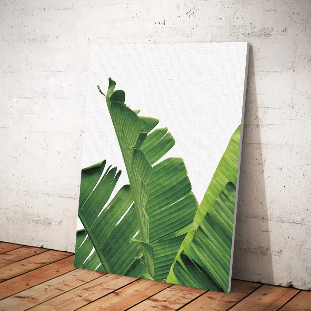Multi Size Banana Leaves Canvas Paintings Unframed For Living Room