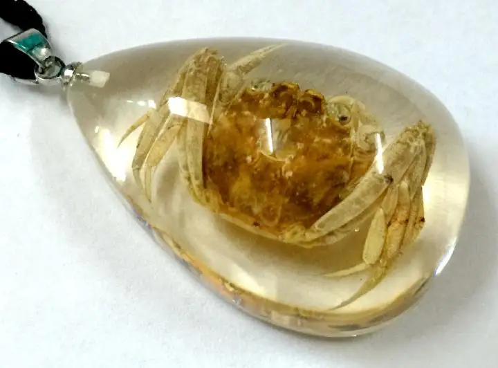 

FREE SHIPPING 12 Pendant Natural Gold Crab Insect Taxidermy Resin Vogue Jewelry VERY PRETTY