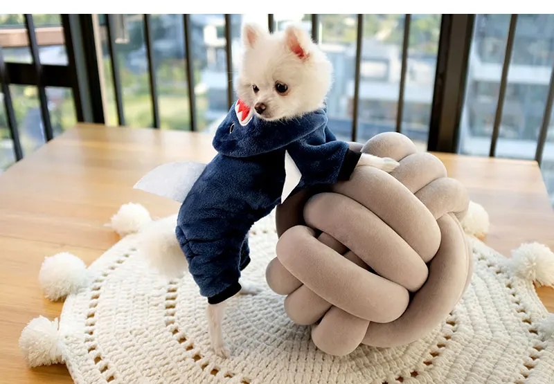 jacket for dogs winte