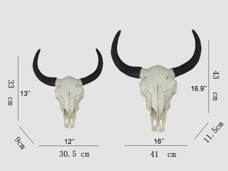 

Long Horn Cow Skull Wall Hanging Longhorn Steer 2 pcs (a large and a small)