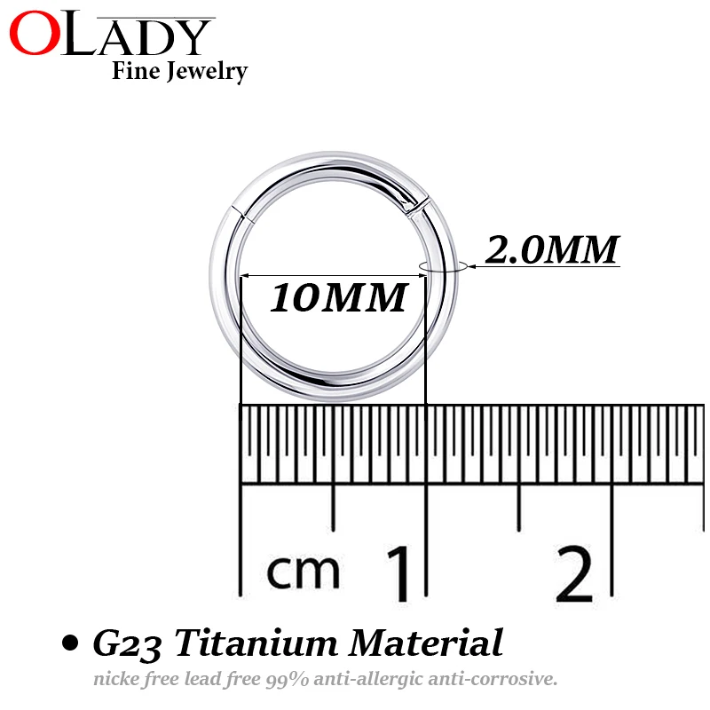 Серьги-кольца серебряные 12 г~ 16 г 6 мм~ 12 мм круглые перегородки Кликер титановые украшения для пирсинга тела для женщин и мужчин