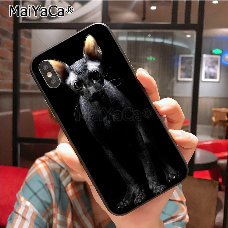 Уникальный силиконовый чехол для телефона MaiYaCa sphynx cat для iphone 11 Pro 6S 6plus 7 7plus 8 8Plus X 5 5S чехол - Цвет: 4