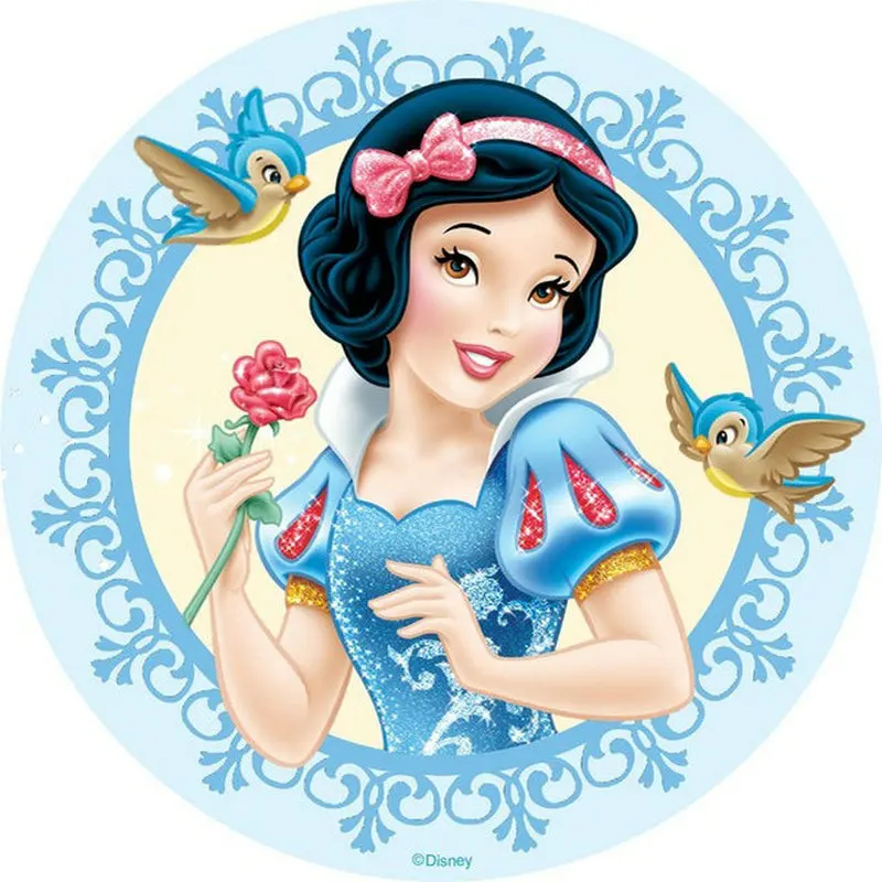 

5D square diamond embroidery Icon diamond cross stitch rhinestone diamond painting Snow White picture diamond mosaic kit