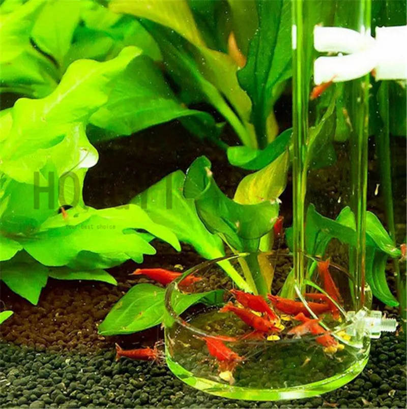 Hongyi 1 Piece Acrylic Aquarium Red Bee Shrimp Feeder Long Tube Crystal