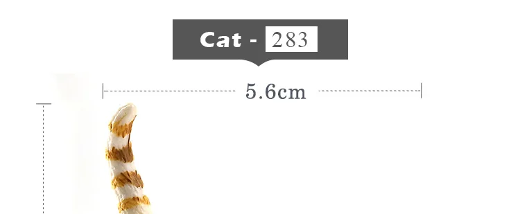 -8--MY6221_16