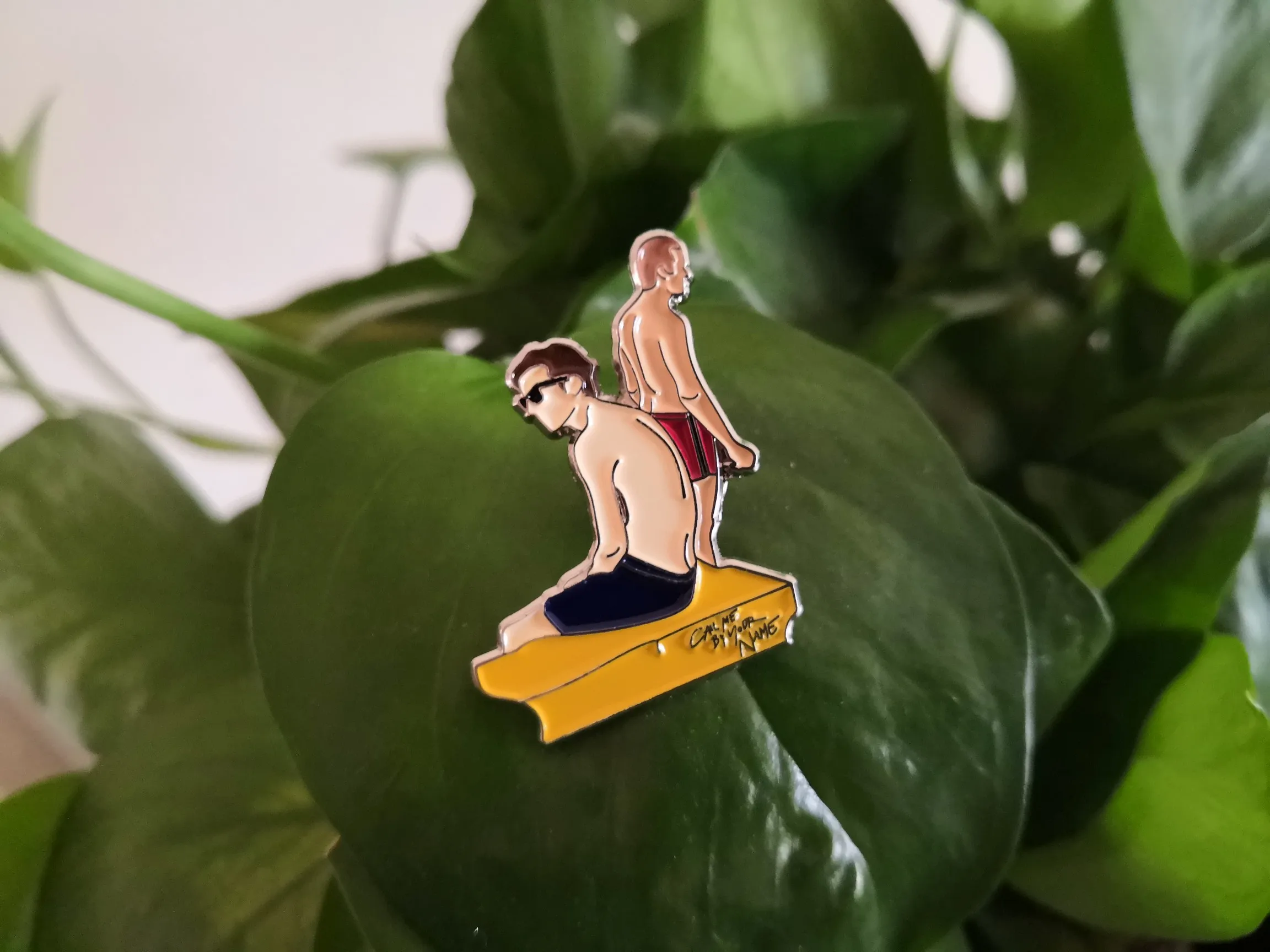 Андрэ асиман позвоните мне по вашему имени 1980s фильм Andre CMBYN SKAM EAVK бейдж брошь на