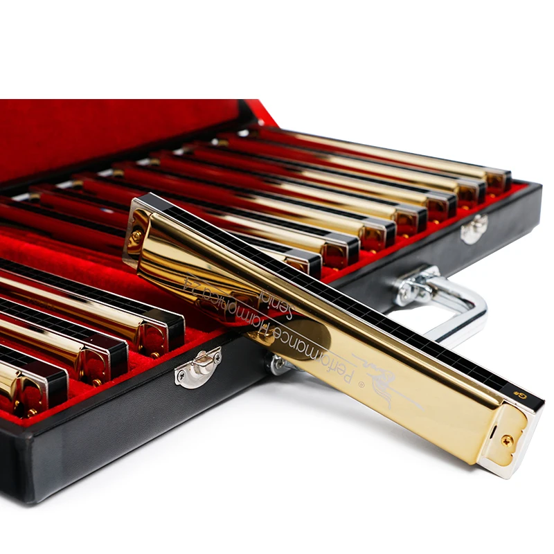 

Swan Gold Color Harmonica Set High End 24 Holes 12 Keys Performance Harmonicas In Gift Box Musical Instrument Harps SW24H-12TJ