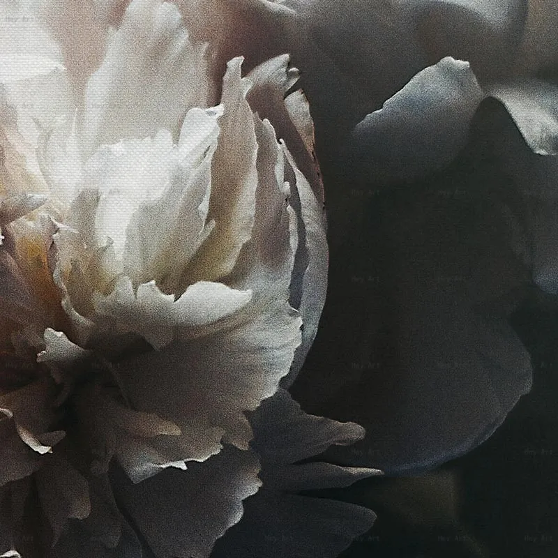 WP0266-7