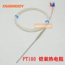 PT100 бронированный термостойкий WZP-191 иглы Платиновое сопротивление PT100 датчик температуры