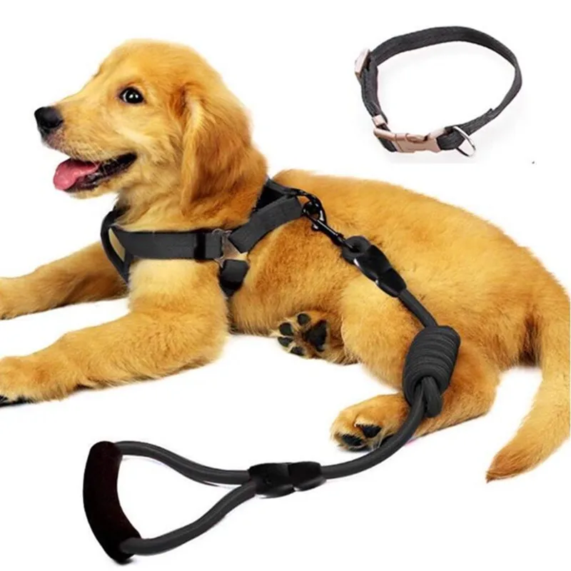 

Dog Leash Harness Set with Collar Heavy Duty Denim Dog Leash 4 Size Perfect for Dog Daily Training Walking Running Drop Shipping