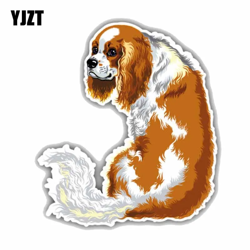 

YJZT 13CMx14.7CM Blenheim King Charles Spaniel Dog Car Decoration Car Sticker C1-9059