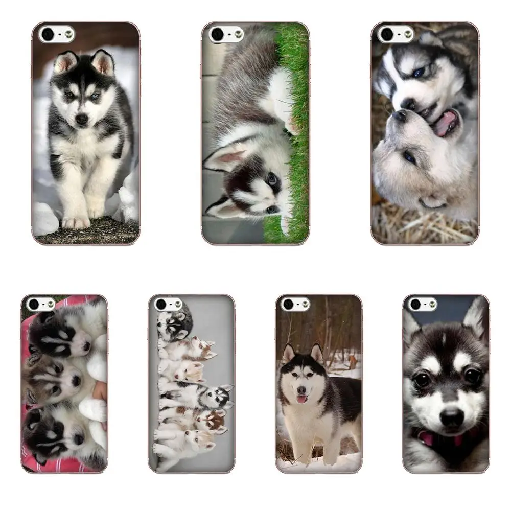 

I Just Want To Drink Wine And Pet My Husky For Galaxy Alpha Core Note 2 3 4 S2 A10 A20 A20E A30 A40 A50 A60 A70 M10 M20 M30