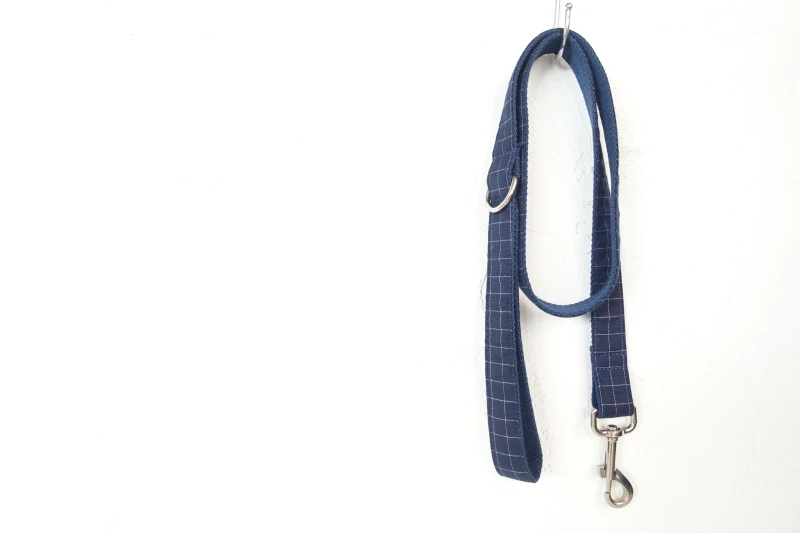 DSC08982