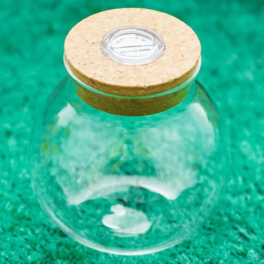 

10CM Microlandscape LED Terrariums Wish Bottle Night Light Aquarium Gift