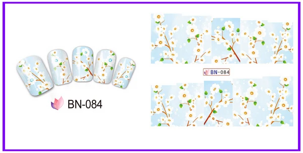 BN-084