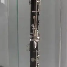 Профессиональный G ключ кларнет первоклассное черное дерево корпус бесплатно чехол