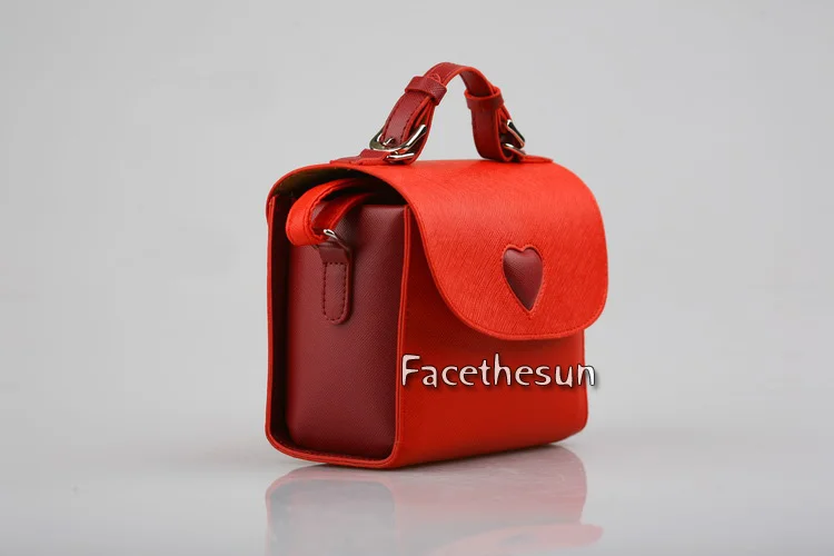 Fuji Polaroid Camera Bag 16