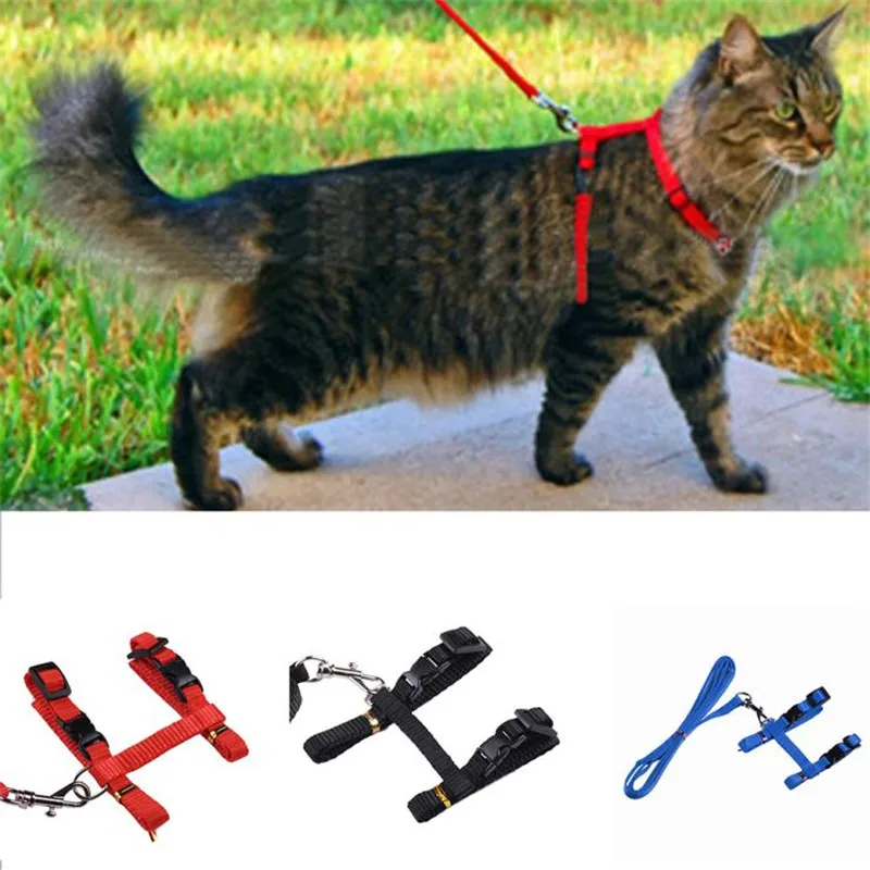 Cat Harness And Leash Hot Sale 5 Colors Nylon Products For Animals