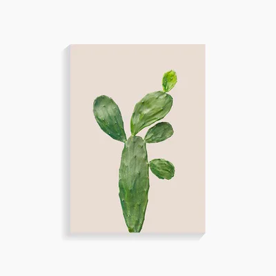 a11
