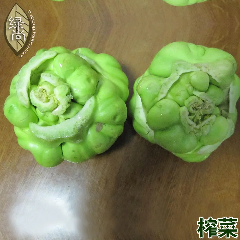 

Mustard bonsai Mustard Four - Seasons Suitable Sowing Courtyard Balcony Potted Root Vegetables bonsais 100pcs