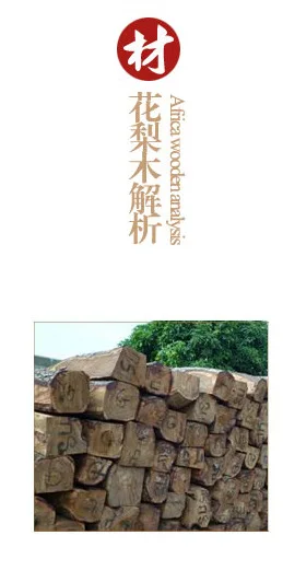a01--02
