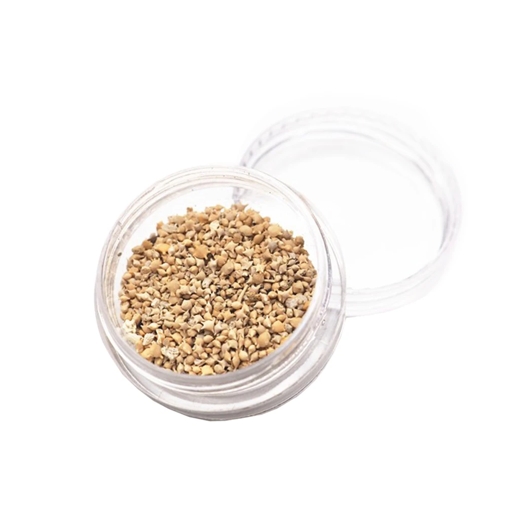 

Beach Natural Seashell Starfish Sand For UV Resin Fillings Frames Jewelry Making