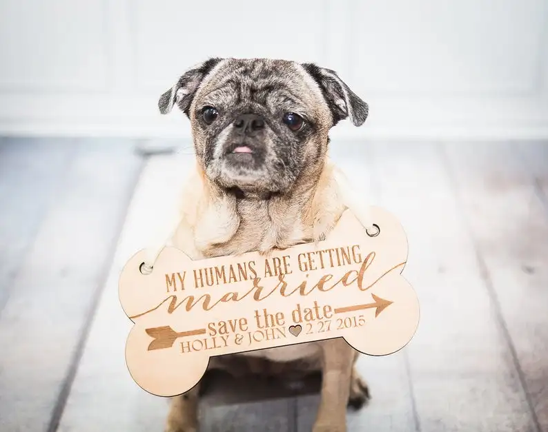 

Custom Pet Sign for Engagement Save the Date Photo prop, Dog Save the Date Sign for Wedding Pictures, Personalized Wedding Sign