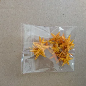 20 шт./лот, раковины из натуральных морских звезд, мини-ремесла, 10 мм-25 мм, планшет, микро Ландшафтные морские украшения, морская звезда - Цвет: orange