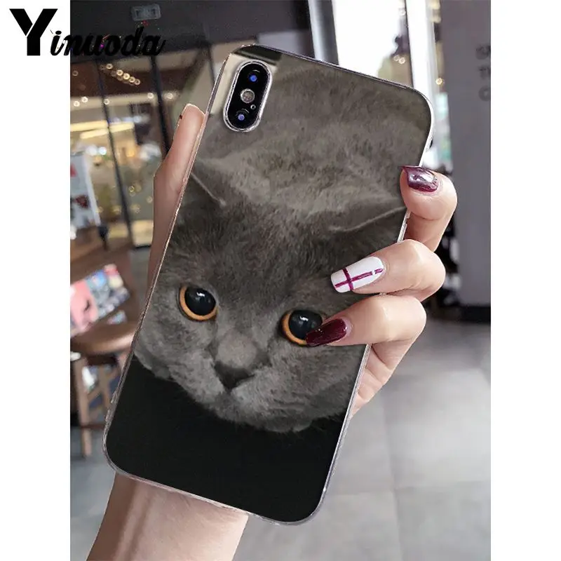 Yinuoda Британский короткошерстный Кот поделка-чехол для телефона для iPhone 5 5Sx 6 7plus 8 8Plus X XS MAX XR Fundas Capa