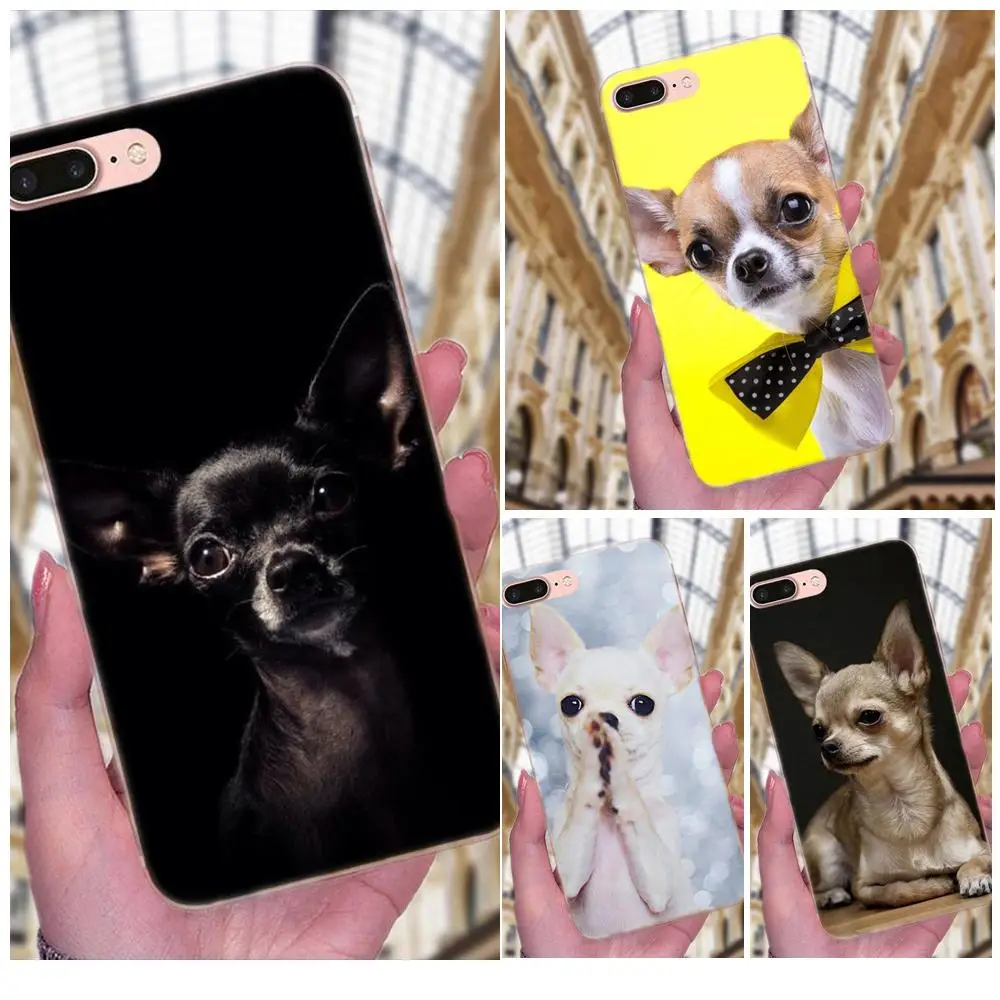 

Top Detailed Popular Phone Case Animal Chihuahua Dog For Galaxy J1 J2 J3 J330 J4 J5 J6 J7 J730 J8 2015 2016 2017 2018 mini Pro
