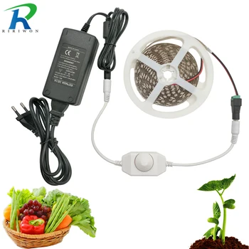 

5m Full Set Plant Grow lights LED Strip Flower phyto Waterproof Red blue 3:1 for Greenhouse Hydroponic+adapter and LED Dimming