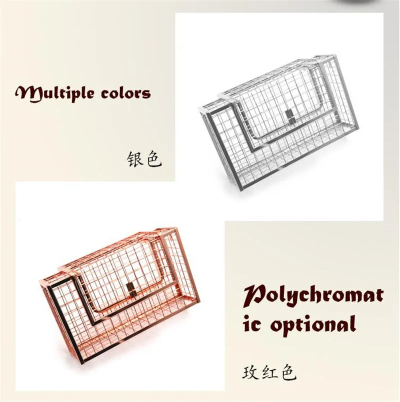 Новинка, модные женские сумки на плечо с металлическими отверстиями, сумки через плечо, вечерние сумки-тоуты, сумка в коробке, клатчи с металлической клеткой, сумочка на цепочке