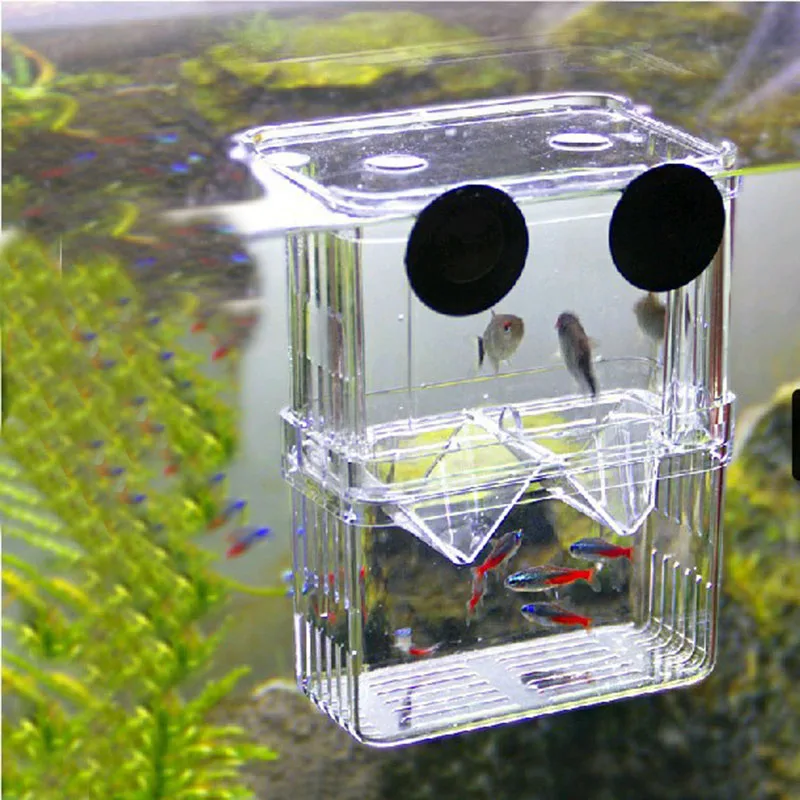 Mini Fish Breeding Isolation Box Fish Tank Aquarium Breeder Box Double Holes Betta Fish Hatching Incubator Aquarium Fish Bowl3