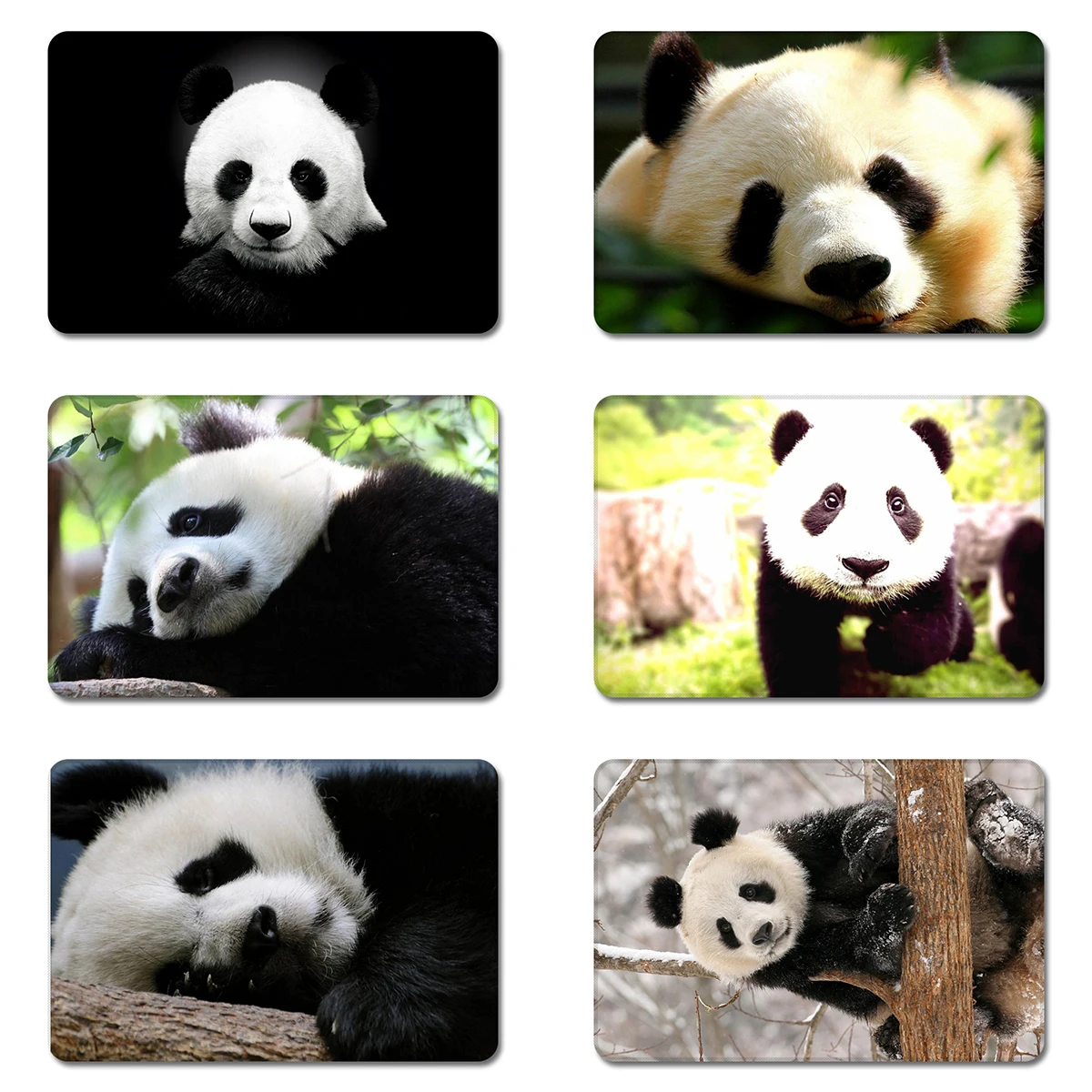 

Panda Collection Cute Kids Nursery Cool Designs Nature Rubber Table Mouse Pad Laptop Computer Enclosure Mousepad Mat
