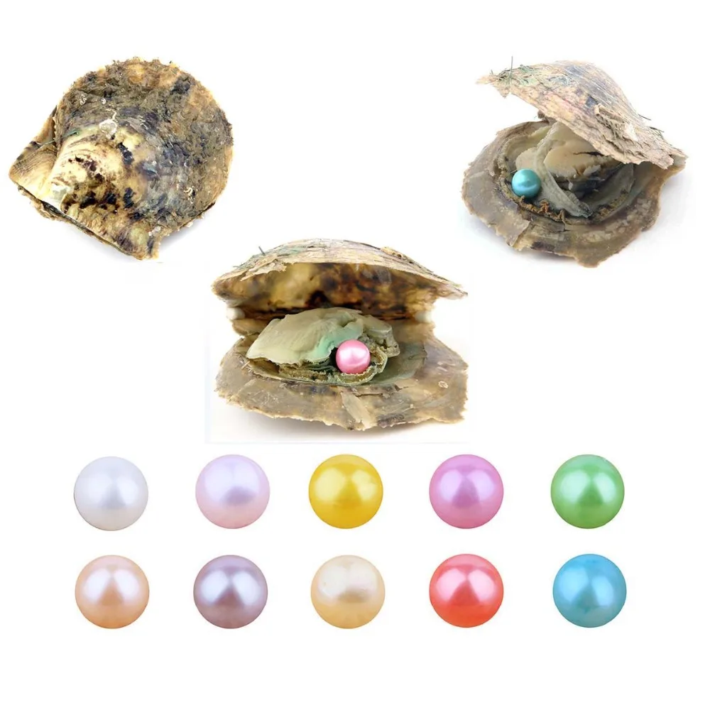 10 PCS Akoya Pearl Oyster Cultured Summer Color Love Wish Pearl Oysters with 7-8 mm Round Pearls Inside Birthday Gifts 10 PCS Akoya Pearl Oyster Cultured Summer Color Love Wish Pearl Oysters with 7-8 mm Round Pearls Inside Birthday Gifts
